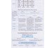 Биология в таблицах и схемах 6-9 класс (лучший справочник ДПА (ЗНО) + шпаргалка в подарок) авт. Евсеев изд. Торсинг