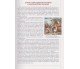 Учебник украинская литература 11 класс (уровень стандарта) авт. Слонёвська, Мафтин, Виварчук изд. Литера купити